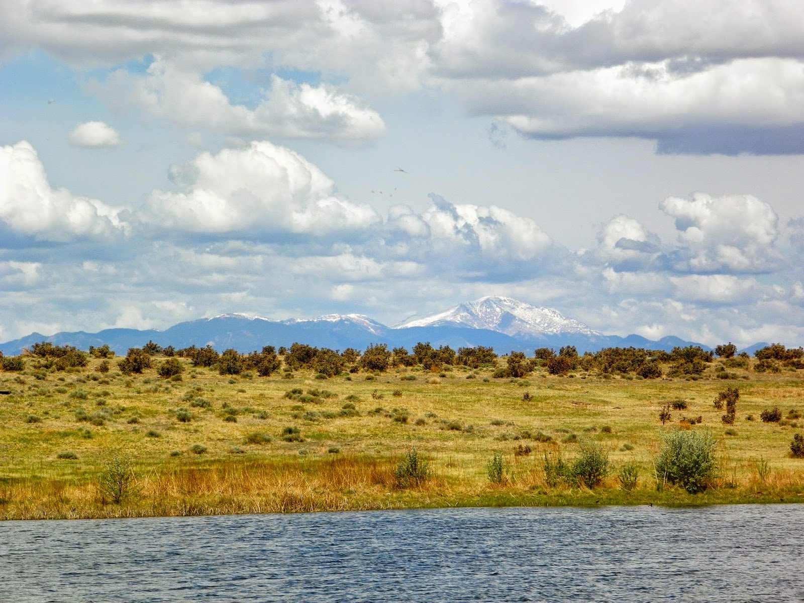 Changes Coming Soon To Chico Basin Ranch Colorado Field Ornithologists