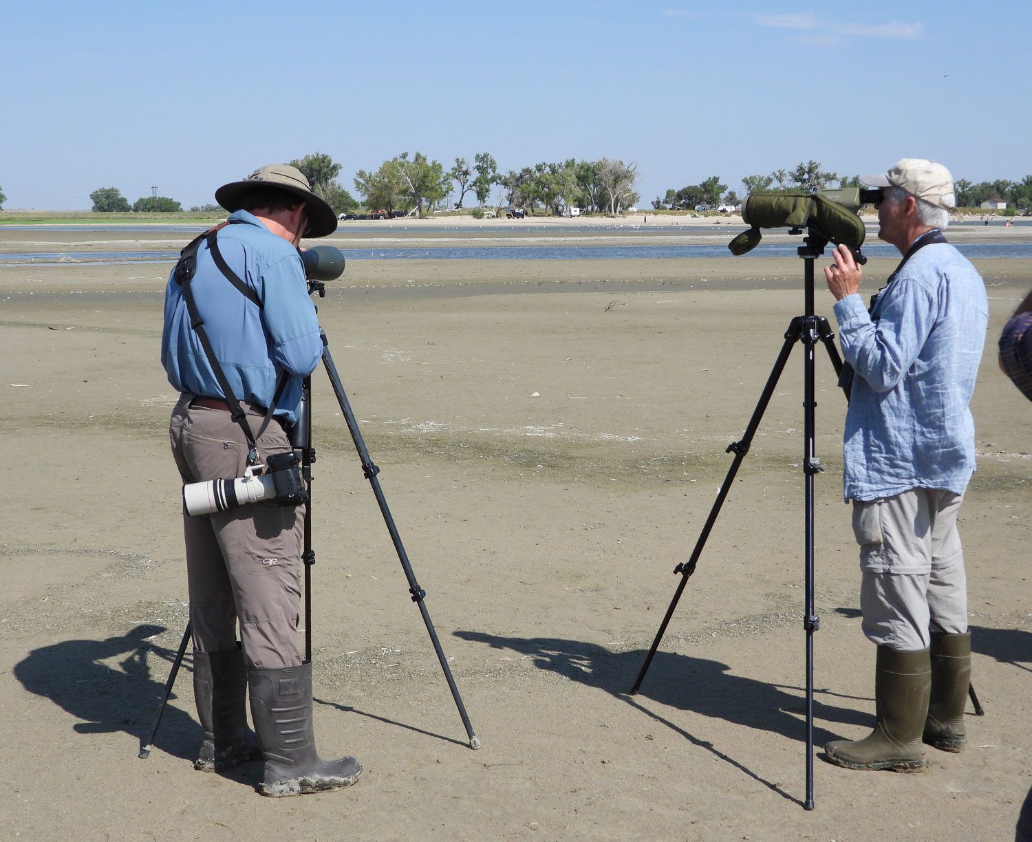 Shorebird workshop 2021. Photo by Greg Osland. 