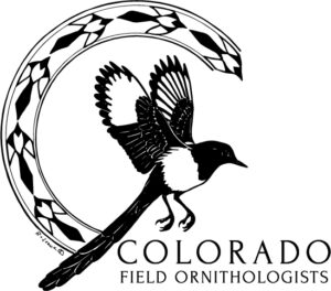 Logo with Black-billed Magpie