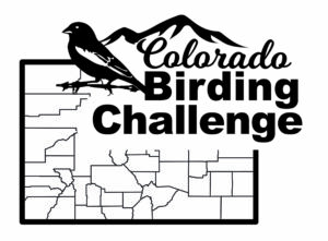 Black and white map of Colorado showing the counties with a graphic of a Lark Bunting and the text Colorado Birding Challenge over it.