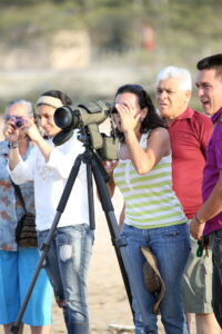 Enjoying some birding. Photo by Peter Burke. 