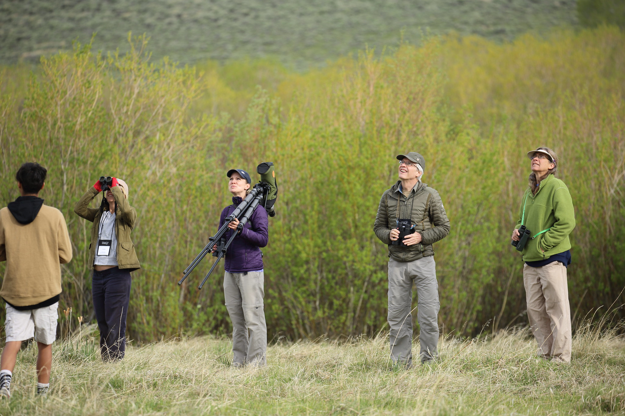 Group of five people standing in field, birding.