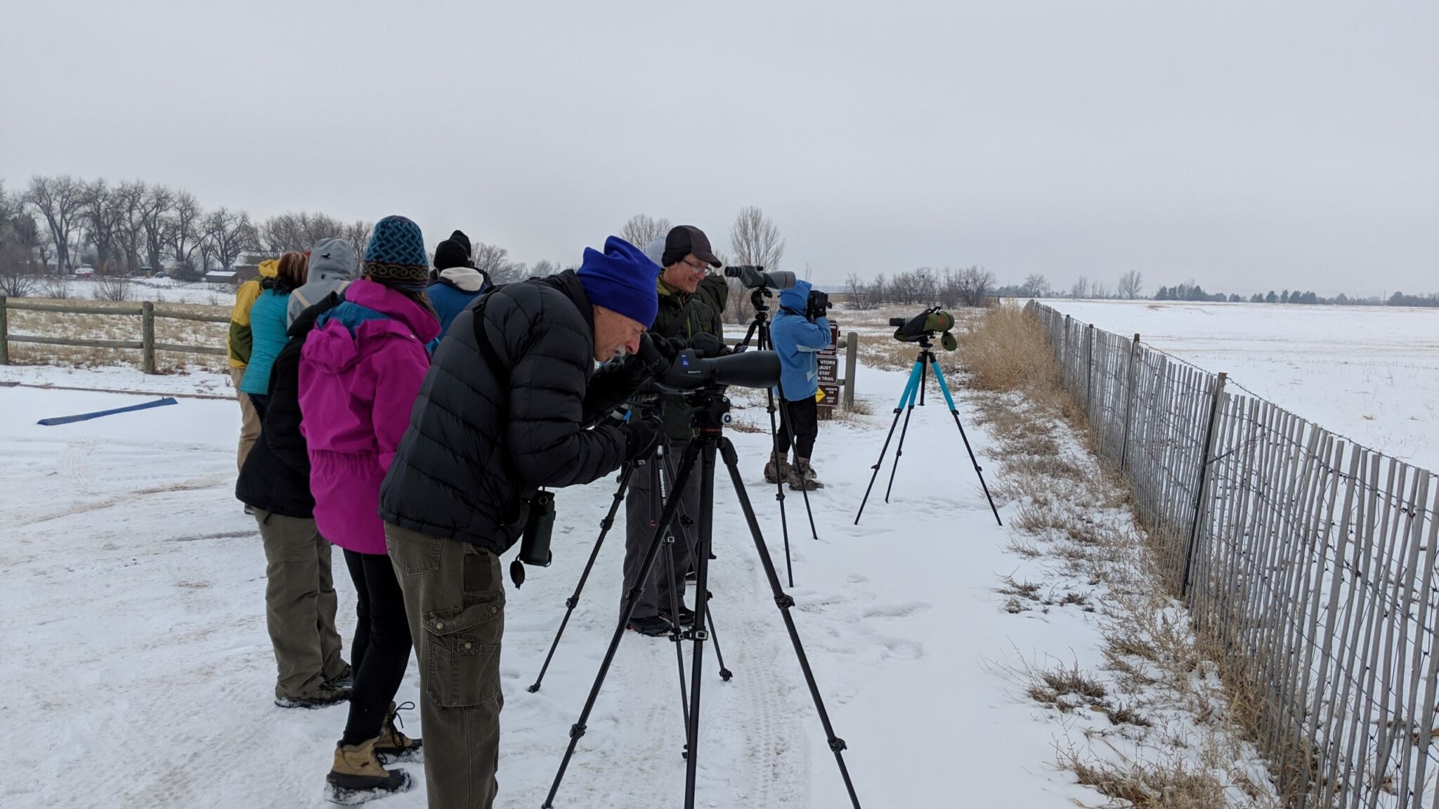 Christmas Bird Counts Colorado Field Ornithologists