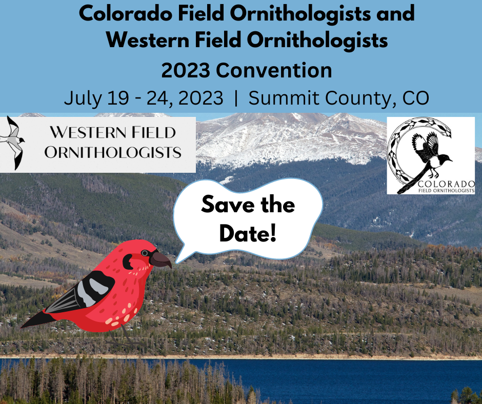 graphic of save the date July 19-24 2023 for joint WFO/CFO convention.