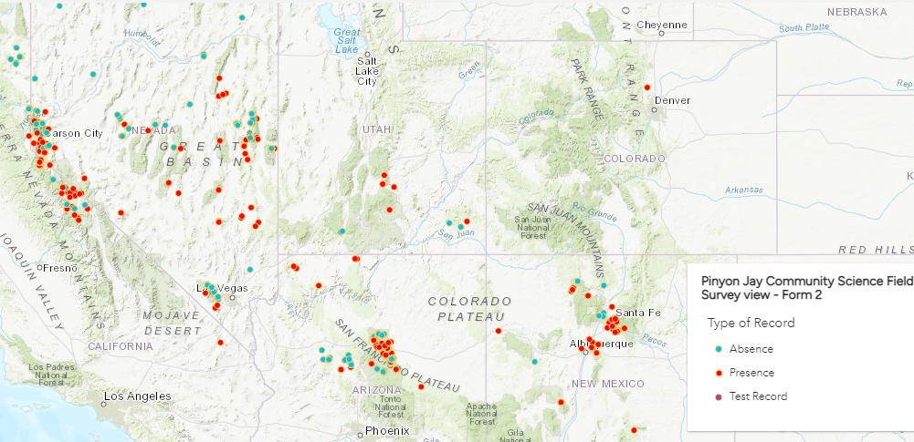 Survey locations of the Pinyon Jay project as of December 7, 2022. 