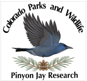 CPW Pinyon Jay Research