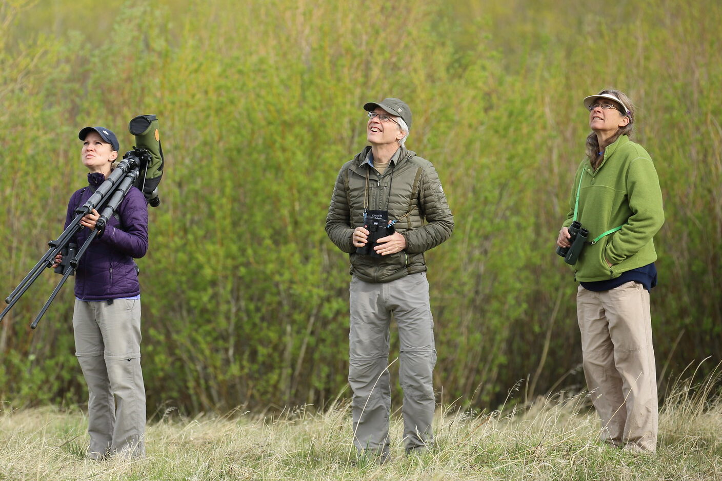 Group of five people standing in field, birding. 