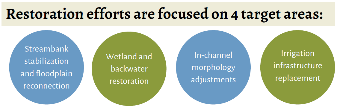 Icon showing the four restoration effort focus areas: bank stabilization and floodplain reconnection; wetland and backwater restoration; in-channel morphology adjustments; and irrigation infrastructure replacement.