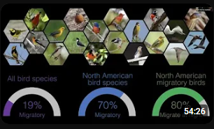 Dr. Kyle Horton presents his and his lab's recent research on bird migration. Bird migration usually occurs during the dark hours so his lab uses remote-sensing tools, like radar, to better quantify the number of migrants filling nighttime airspace and determine where and when migrants are impacted by artificial light. Dr. Horton also discusses how these data can be integrated with community science records to better understand migration and forecast movements.