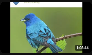 Whether looking for a new birding spot near home or planning an extended trip to the far corners of the state, you’ve probably used a bird-finding guide to help find a prime location. Ten years ago, Ken Ostermiller was thinking about bringing bird-finding guides into the 21st century using crowd-sourcing. The site he developed based on a crowd-sourcing model wasn’t getting much traction until a conversation with fellow birder and software developer Adam Jackson. The conversation hatched the current Birding Speakers: Charles Hundertmark, Ann Johnson, Ken Osermiller Hotspots website (https://birdinghotspots.org/) that is rapidly gaining traction across the country. 