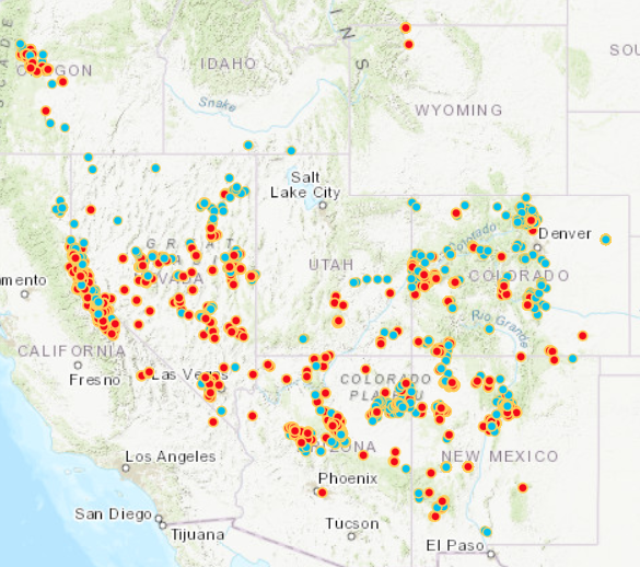 Pinyon Jay presence (red) and absence (blue) records that are part of the Pinyon Jay Community Science Project database as of early November 2024. 