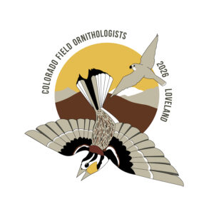 CFO_LOVELAND_Website-Fnl_022226