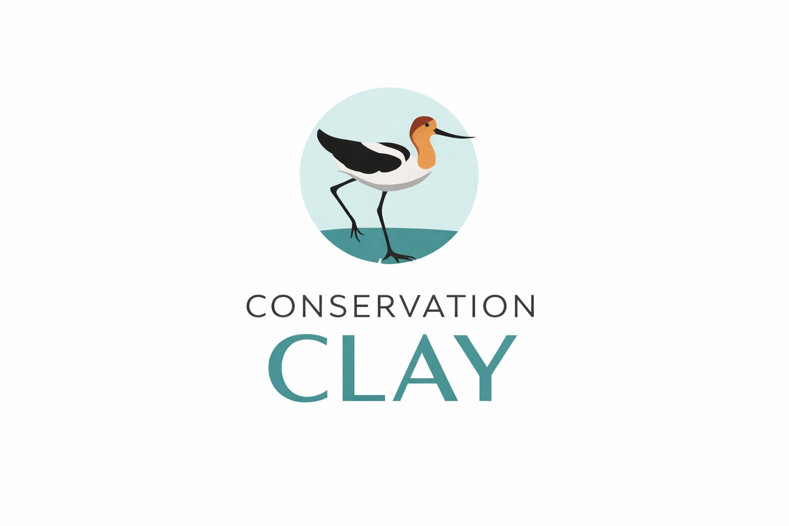 Instagram account: @conservationclay