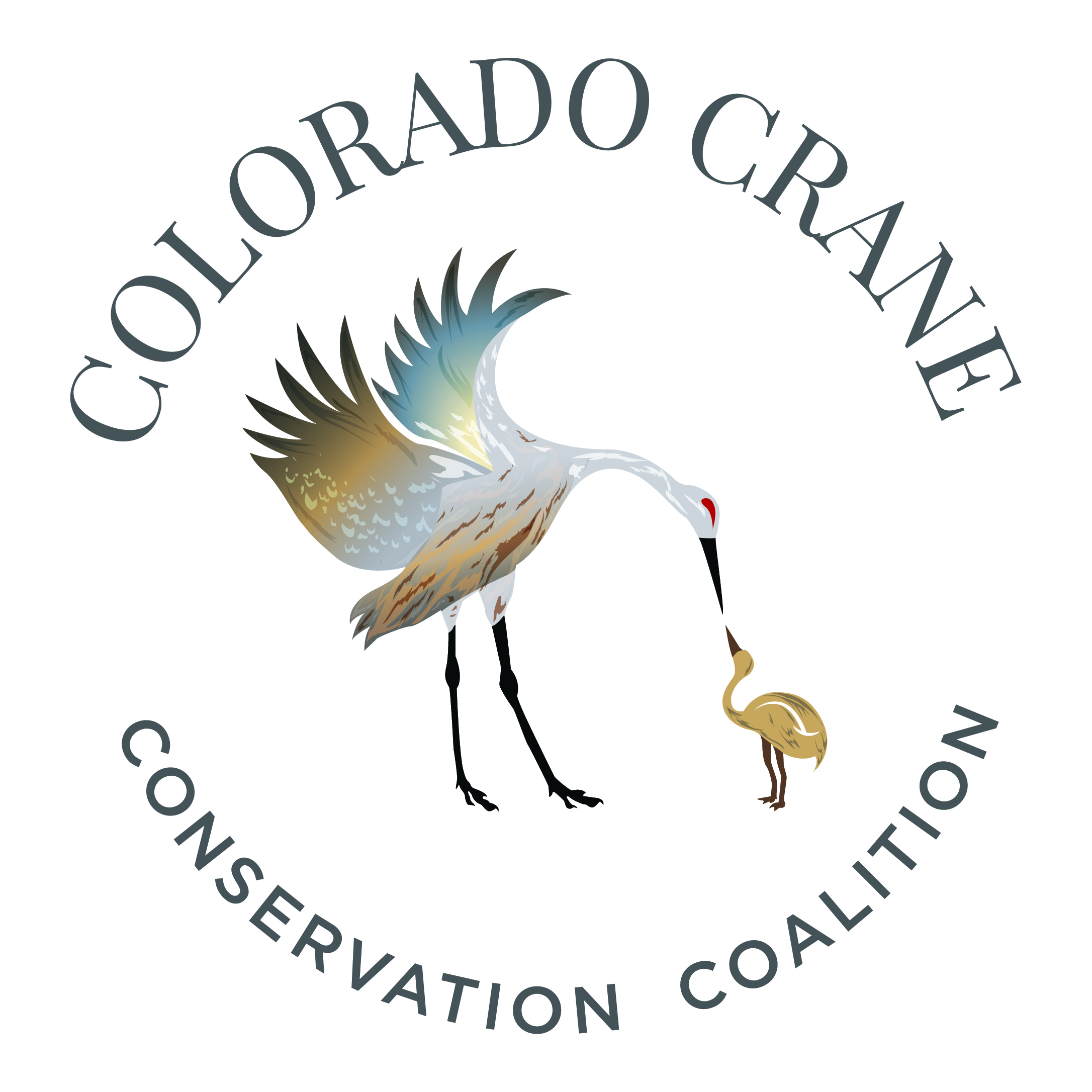 CCCC-RoundLogo-CMYK-Color with white circle