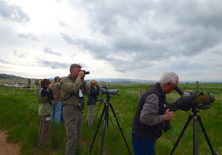 Birding at Beckwith Ranch during a Salida convention. Photo by Diana Beatty.