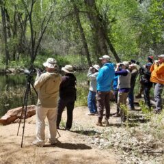 Group photo of 11 birders looking out over still water in a plains riparian habitat. Many birders have their binoculars raised to their eyes.